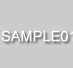 sample02